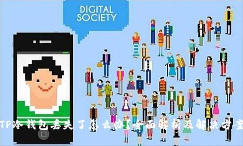 TP冷钱包丢失了怎么办？全面解析及解决方案