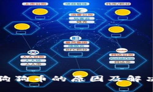 TP不支持狗狗币的原因及解决方案详解